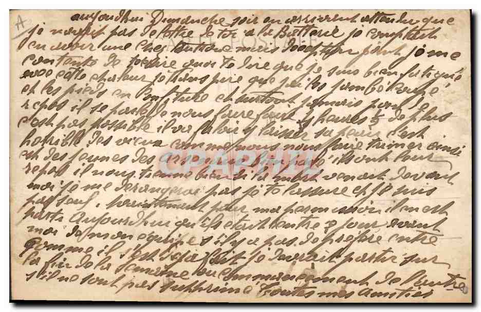 CPA Militaria Les troupes indiennes en France Type d'une voiture reglementaire de ravitaillement Ane Mule — Rückseite