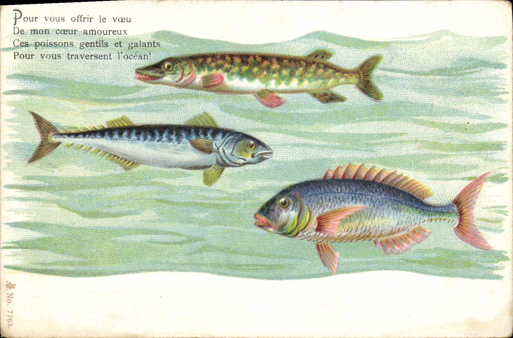 Trois poissons — poissonnerie amoureuse — No 7763 - Recto