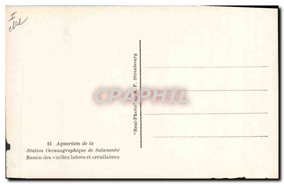 CPA Poisson Poissons Salammbo Bassin des vieilles labres et crenilabers — Rückseite
