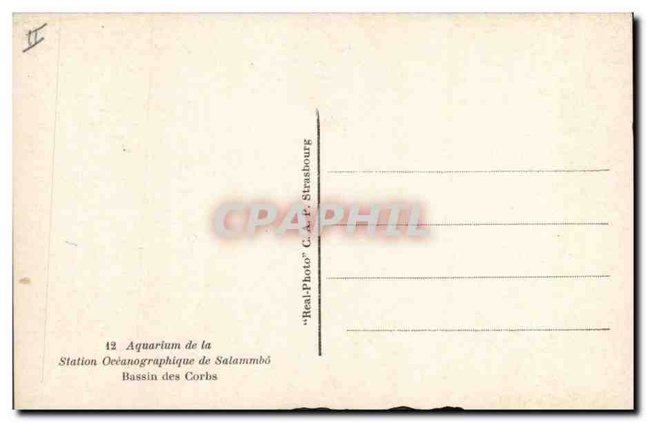 CPA Poisson Poissons Salammbo Aquarium Bassin des Corbs — Verso