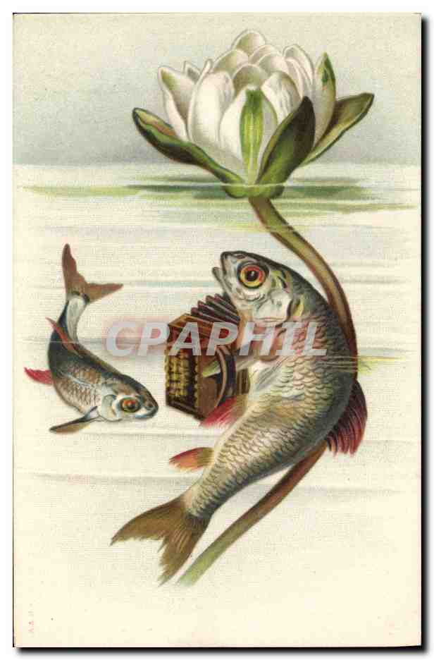 Poissons et fleur de nénuphar — illustration naturaliste — éditeur non identifié