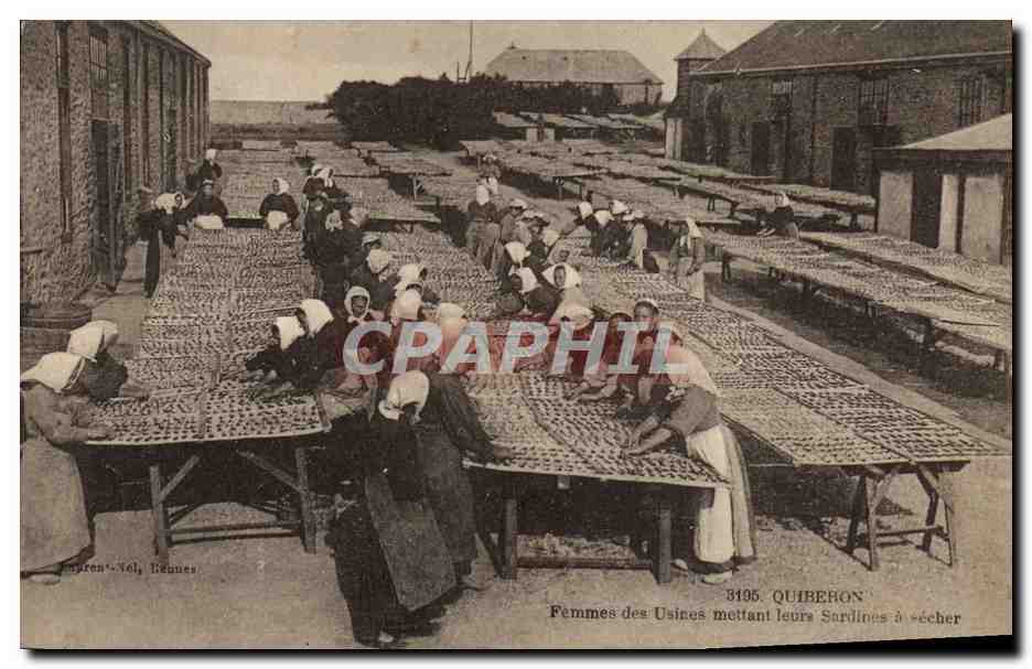 Quiberon — Mujeres de las fábricas colocando sus sardinas para secar — Edición V. Col, Bézannes, n° 3195
