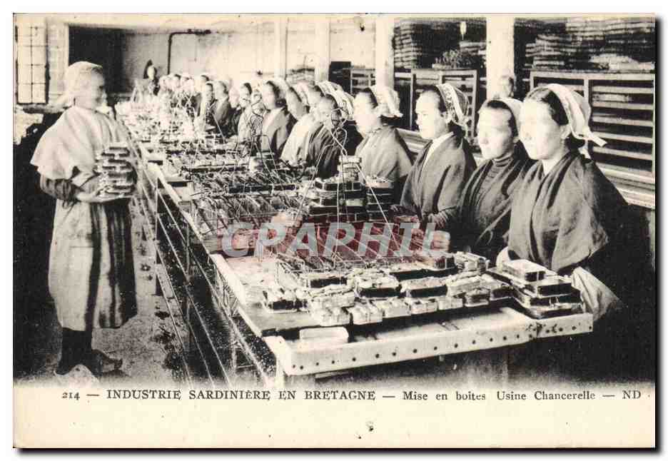 Industrie sardinière en Bretagne — Mise en boîtes Usine Chancerelle — N°214