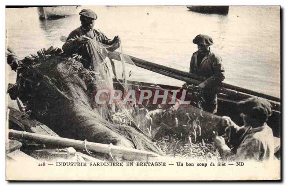 Industrie sardinière en Bretagne — Un bon coup de filet — ND