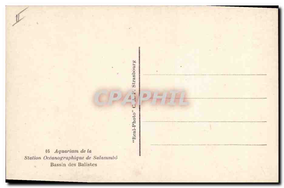 CPA Poisson Poissons Salammbo Bassin des Balistes Aquarium — Verso