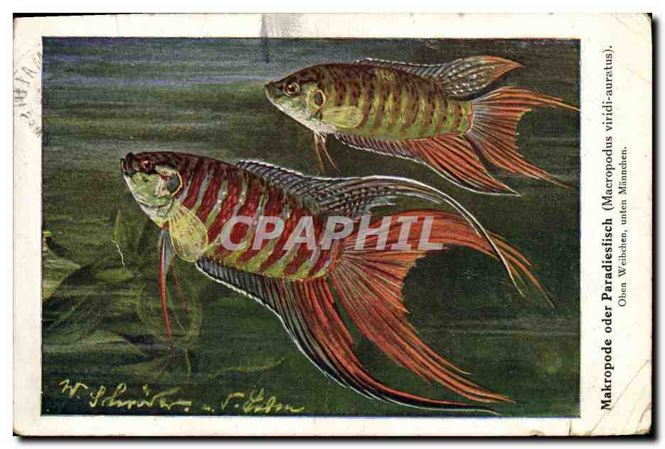 Titre par défaut