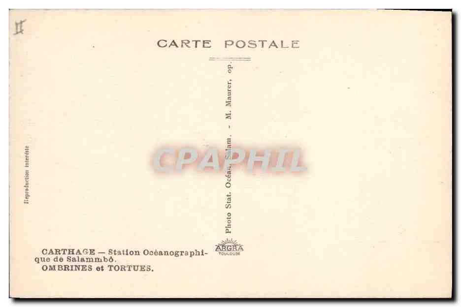 Titre par défaut — Verso