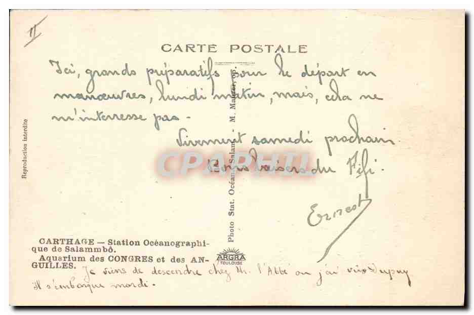 CPA Poisson Poissons Carthage Aquarium des Congres et des anguilles — Rückseite