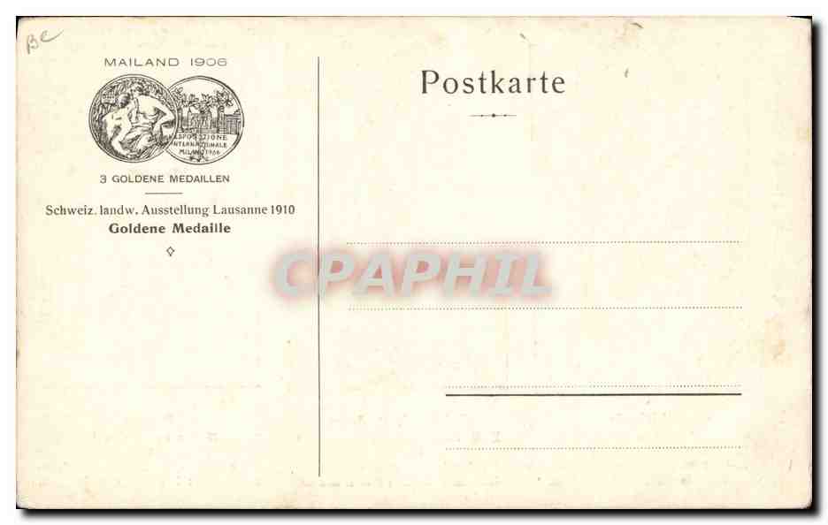 Bovins de race suisse — Exposition agricole Lausanne 1910 — Züchter Fritz Marbach — Reverso