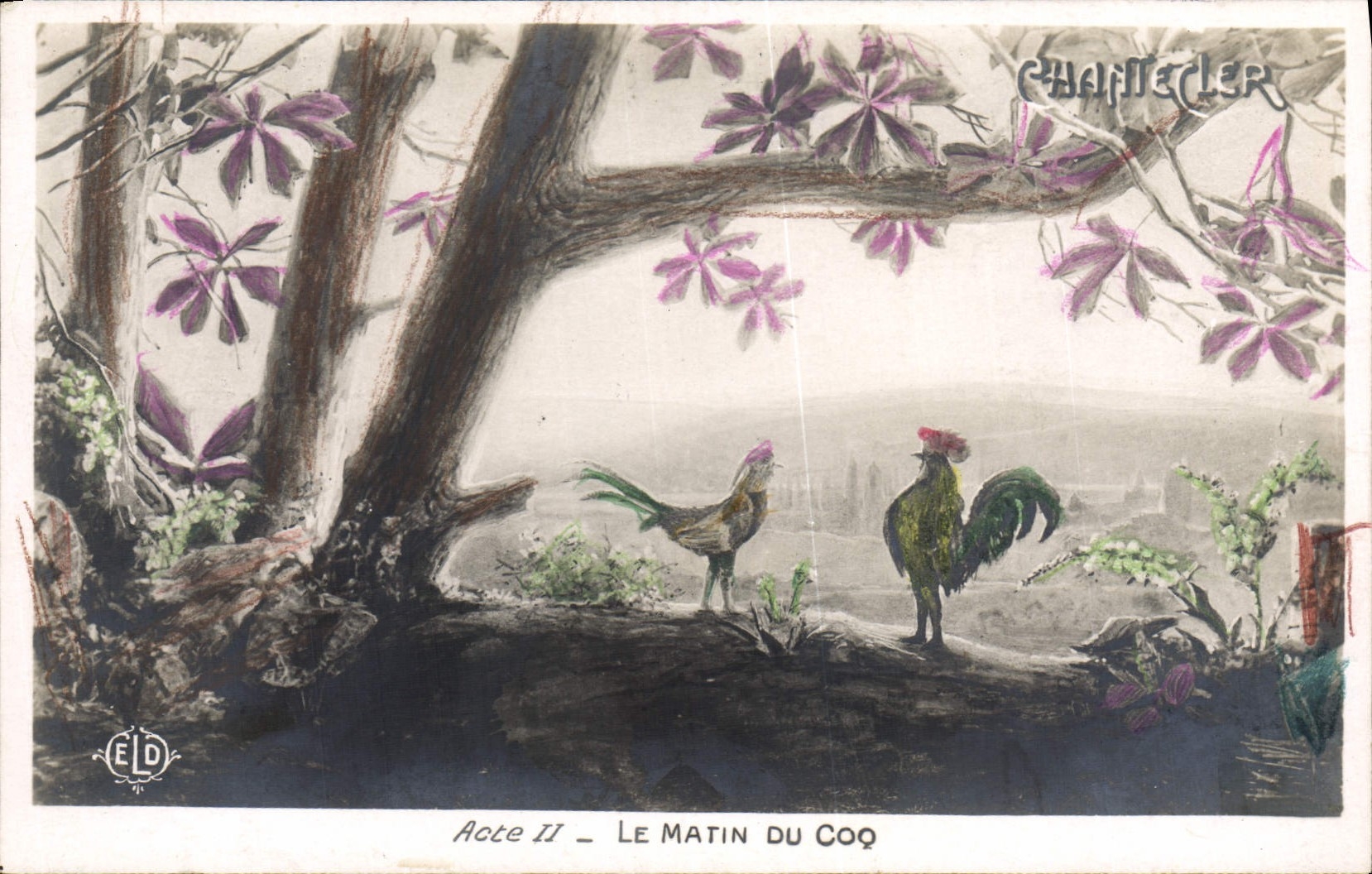 CPA Theatre Edmond Rostand Chantecler Le matin du coq