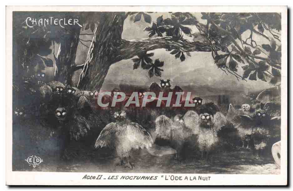 CPA Theatre Edmond Rostand Chantecler Les nocturnes L'ode a la nuit Chouette Hibou