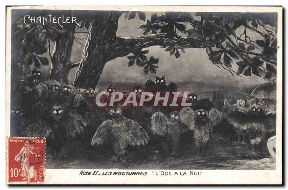 CPA Theatre Edmond Rostand Chantecler L'ode a la nuit Chouette Hibou