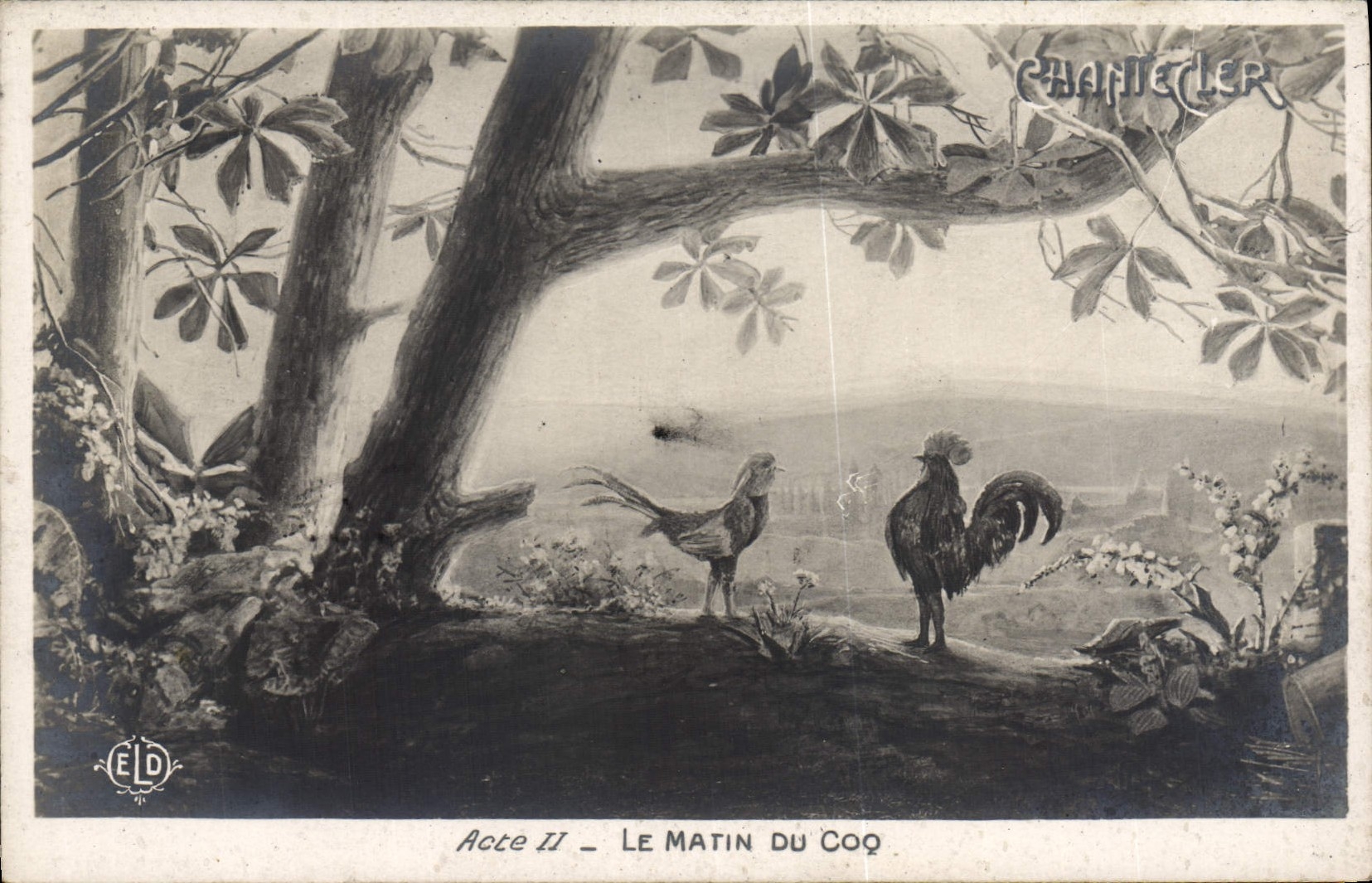CPA Theatre Edmond Rostand Chantecler Le matin du coq