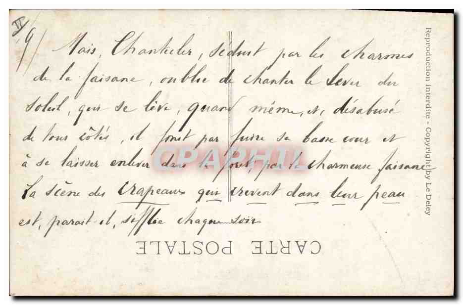 CPA Theatre Edmond Rostand Chantecler Les crapauds Grenouille — Verso
