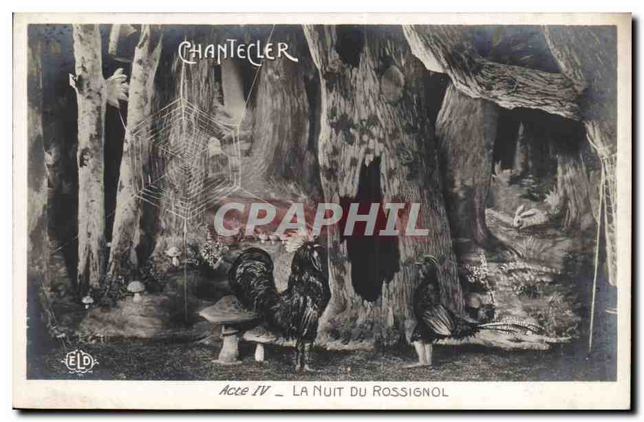 CPA Theatre Edmond Rostand Chantecler La nuit du Rossignol Champignon