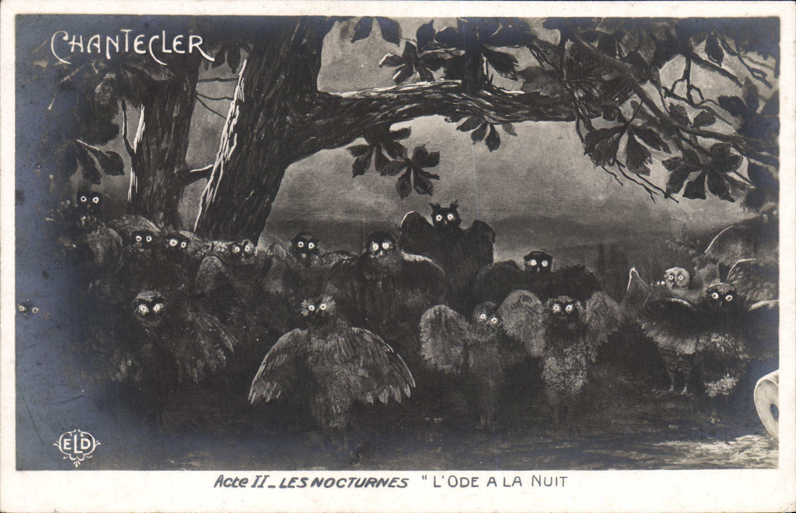 CPA Theatre Edmond Rostand Chantecler L'ode a la nuit Chouette Hibou