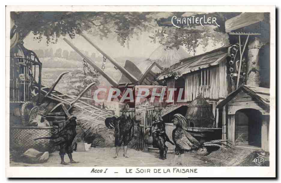 CPA Theatre Edmond Rostand Chantecler Le soir de la faisane