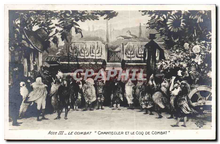 CPA Theatre Edmond Rostand Chantecler et le coq de combat