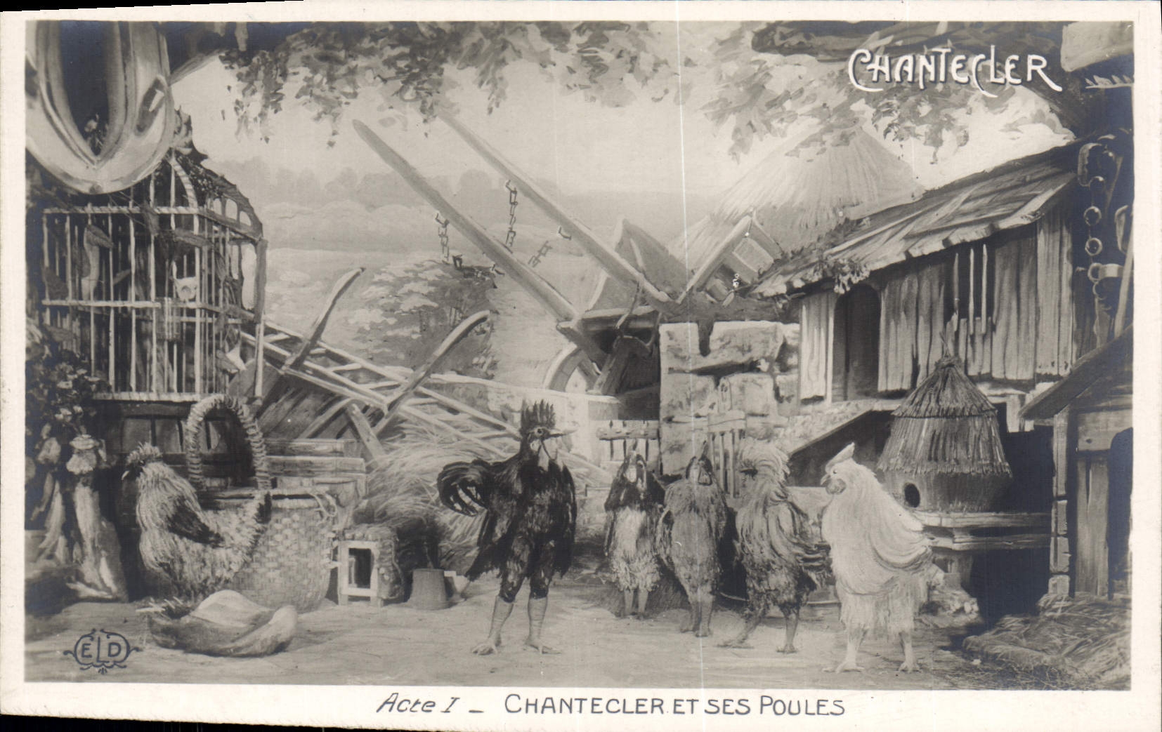 CPA Theatre Edmond Rostand Chantecler et ses poules