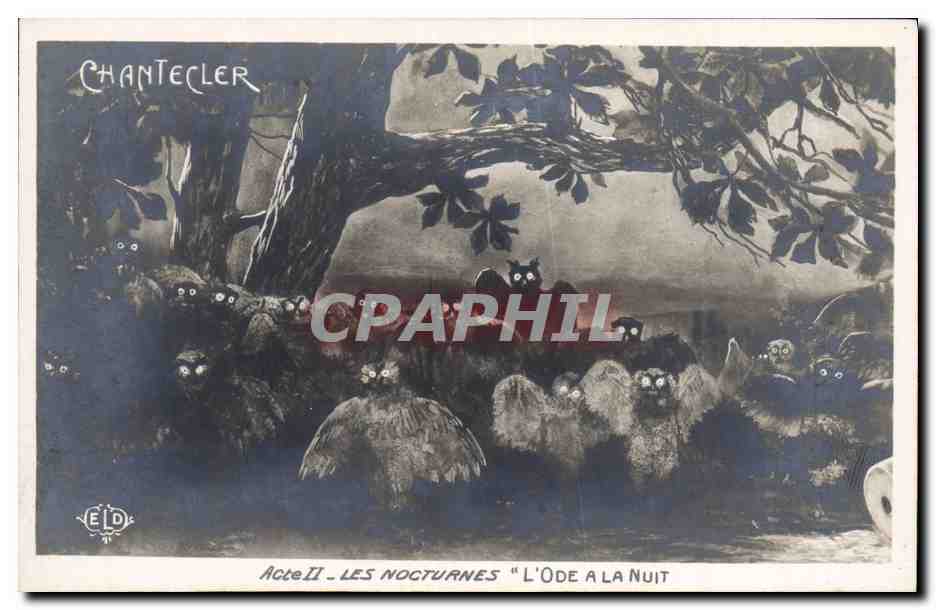 CPA Theatre Edmond Rostand Chantecler L'ode a la nuit Chouette Hibou