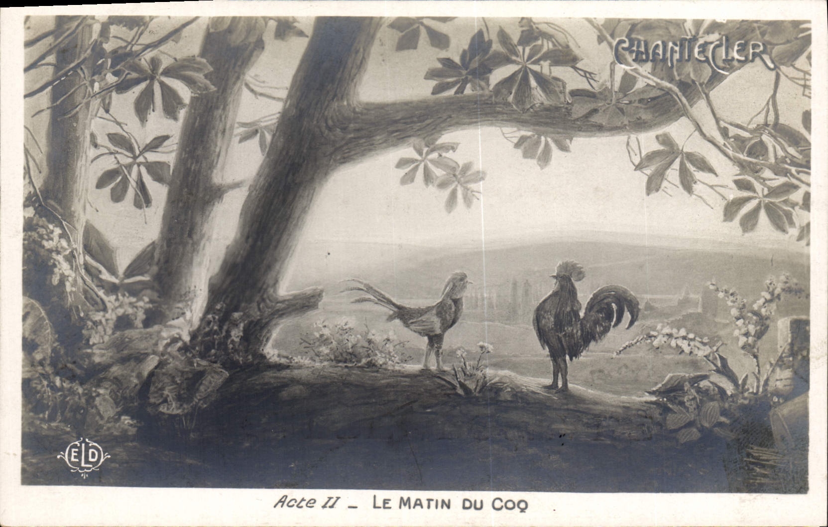 CPA Theatre Edmond Rostand Chantecler Le matin du coq