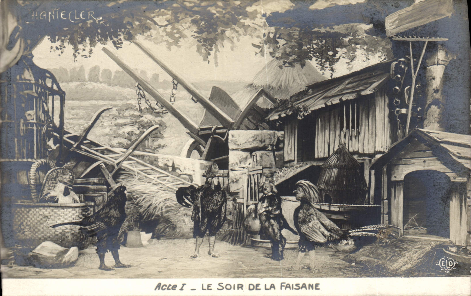 CPA Theatre Edmond Rostand Chantecler Le soir de la faisane