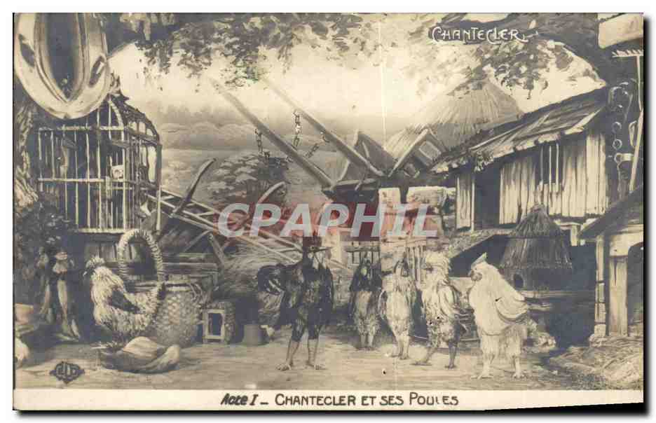 CPA Theatre Edmond Rostand Chantecler et ses poules
