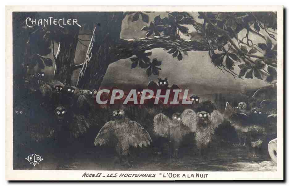 CPA Theatre Edmond Rostand Chantecler L'ode a la nuit Chouette Hibou