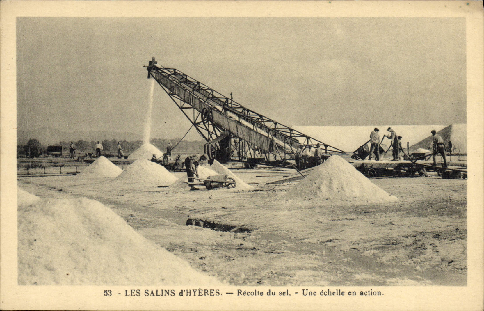 Les Salins d'Hyères — Récolte du sel — Une échelle en action