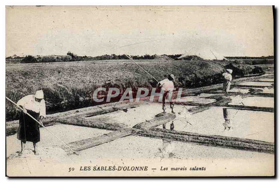 Les Sables-d'Olonne — Les marais salants — CPAPHIL n°50