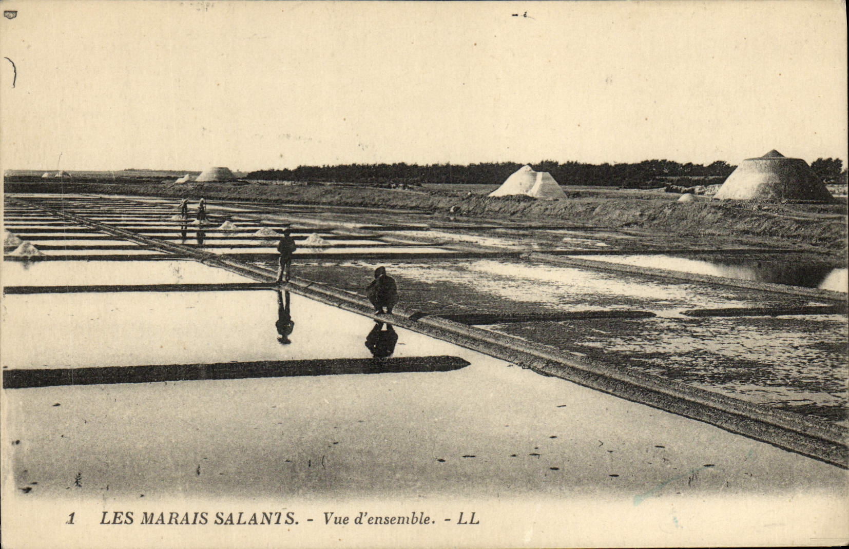 Les Marais Salanis - Vue d'ensemble - LL