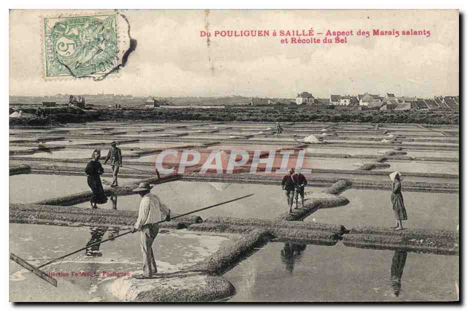 Du POULIGUEN à SAILLÉ — Aspect des Marais salants et Récolte du Sel — Collection F. Pouliguen
