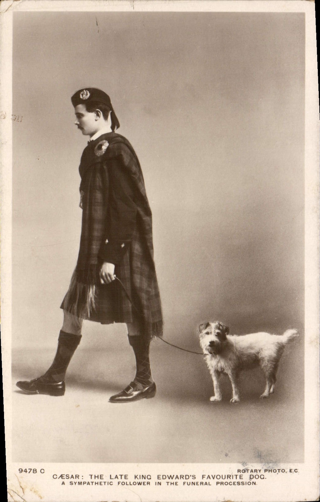 CPA Caeser The late King Edward's favorite Dog Chien