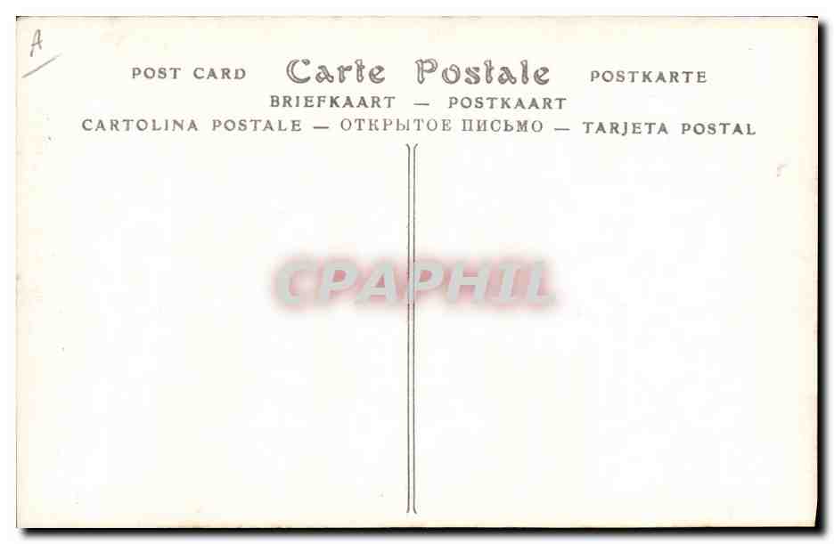 Princesse Marie — S.A.R. La Princesse Marie — W. a. D. Downey, photographes à la Cour Royale — Verso