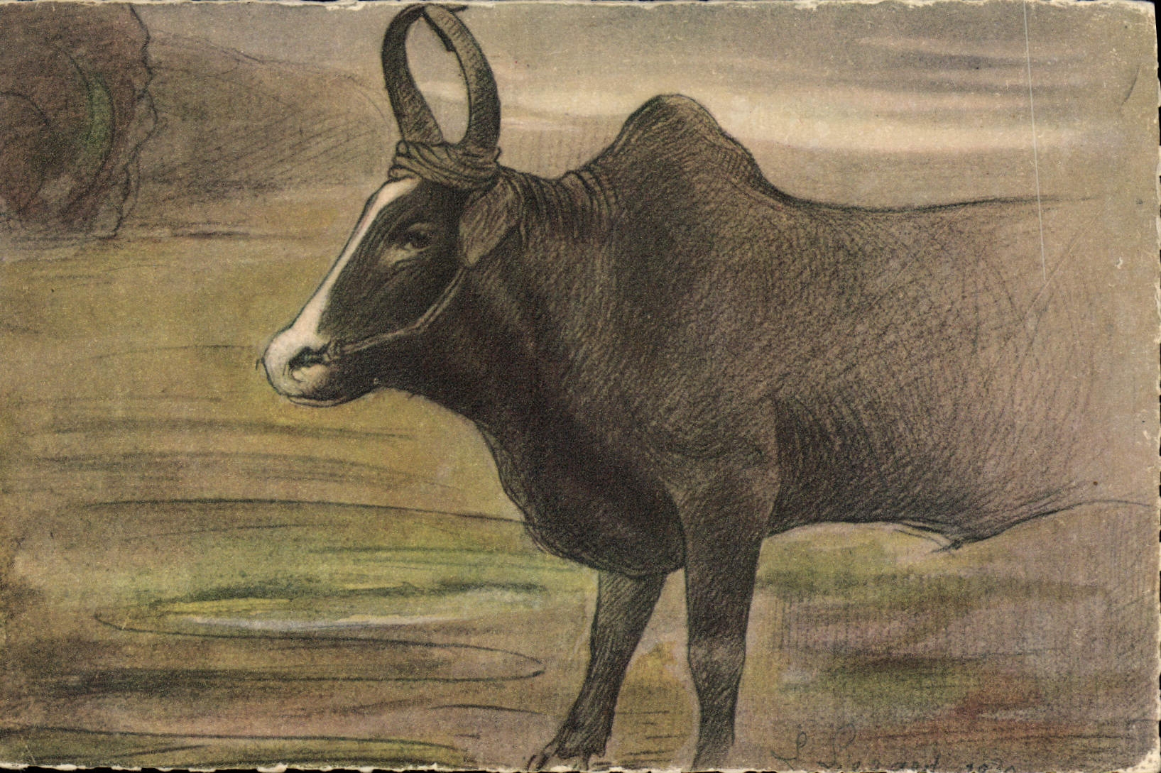 CPA Exposition coloniale internationale Paris 1931 Madagascar Boeuf malgache