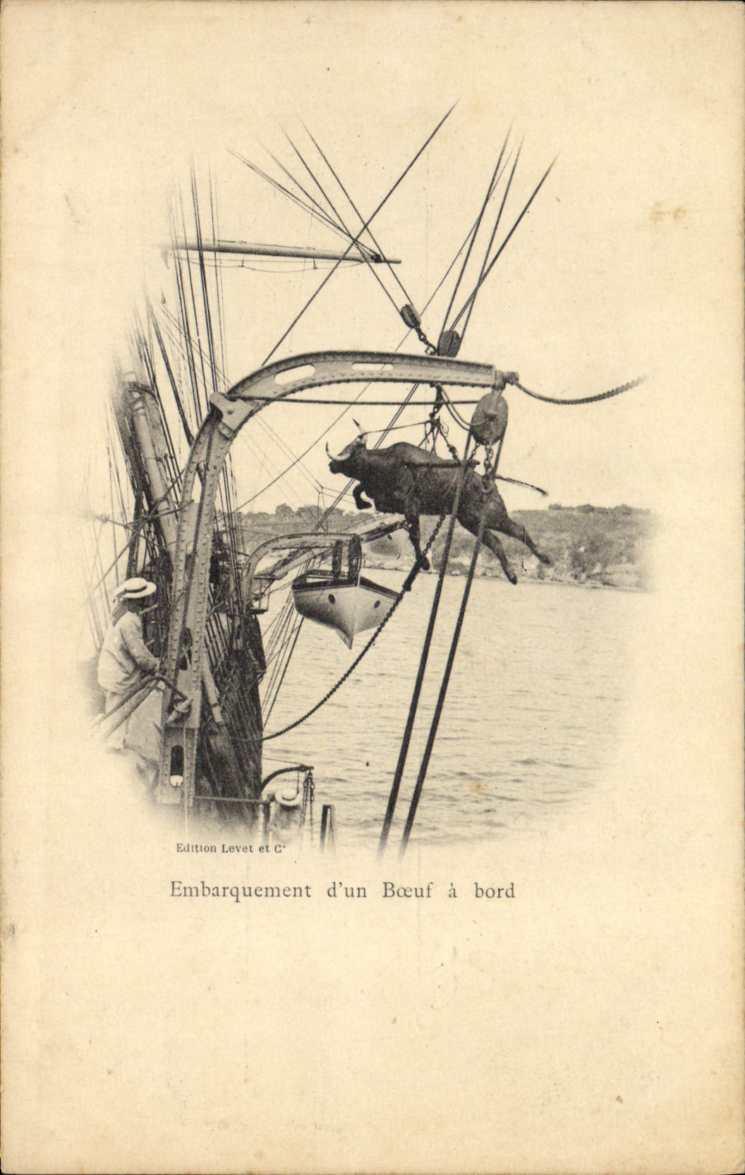 Embarquement d'un Bœuf à bord — Edition Levet et C°