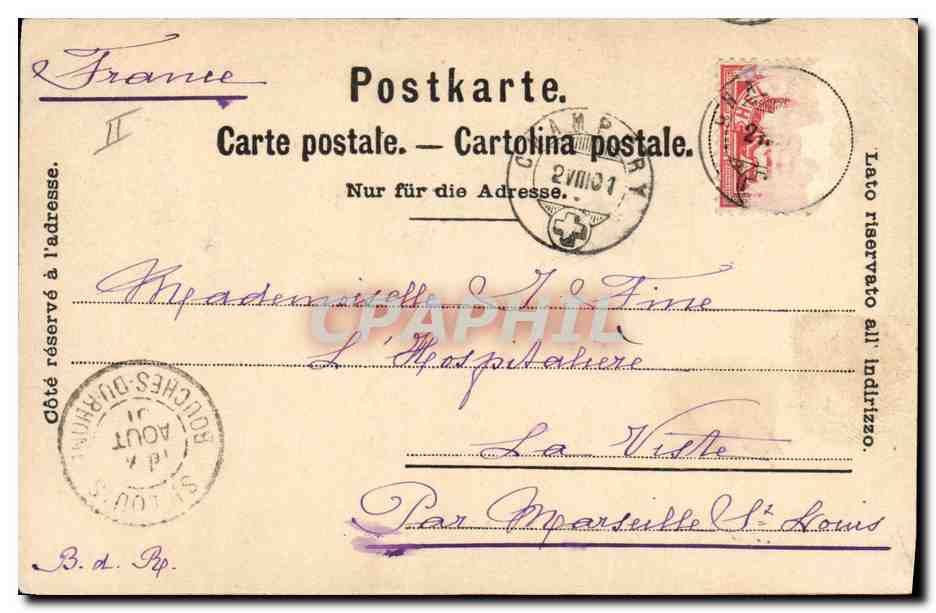 CPA Vache Vaches A la montagne — Rückseite