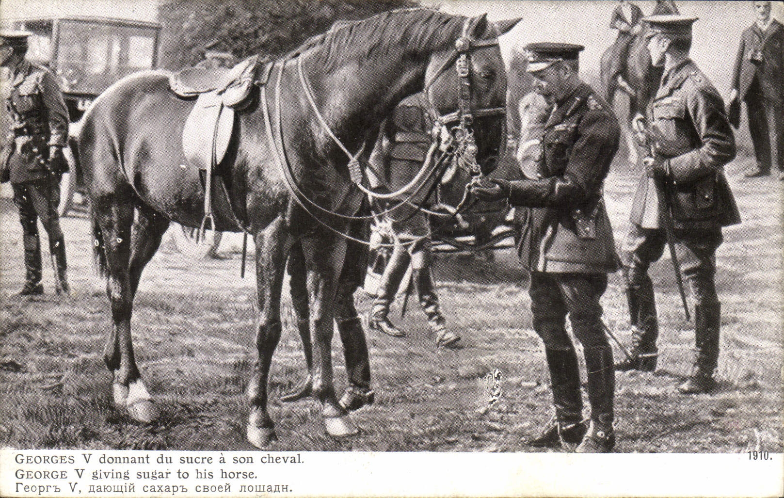 George V donnant du sucre à son cheval — Édition patriotique 1914, imp. L. Lartal - Paris