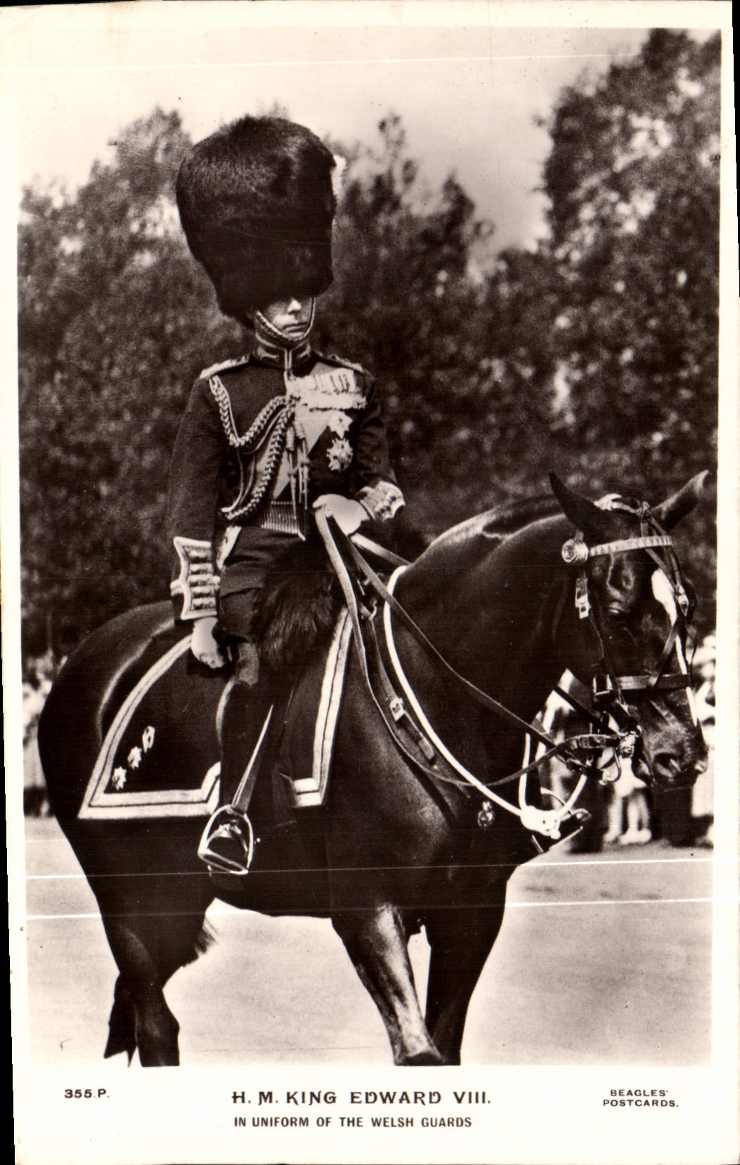 H.M. King Edward VIII — en uniforme des Welsh Guards — Beagles' Postcards n°355.P