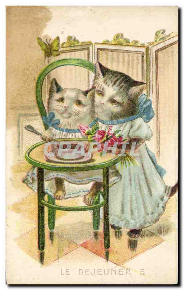 CPA Chat Chaton Chats Le dejeuner