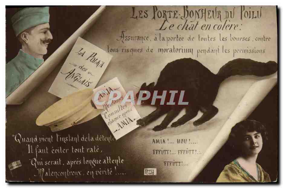 CPA Chat Chaton Chats Le chat en colere Militaria Soldat