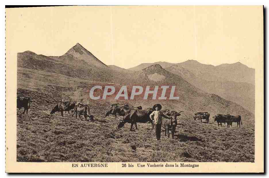 CPA Folklore En Auvergne Une vacherie dans la montagne
