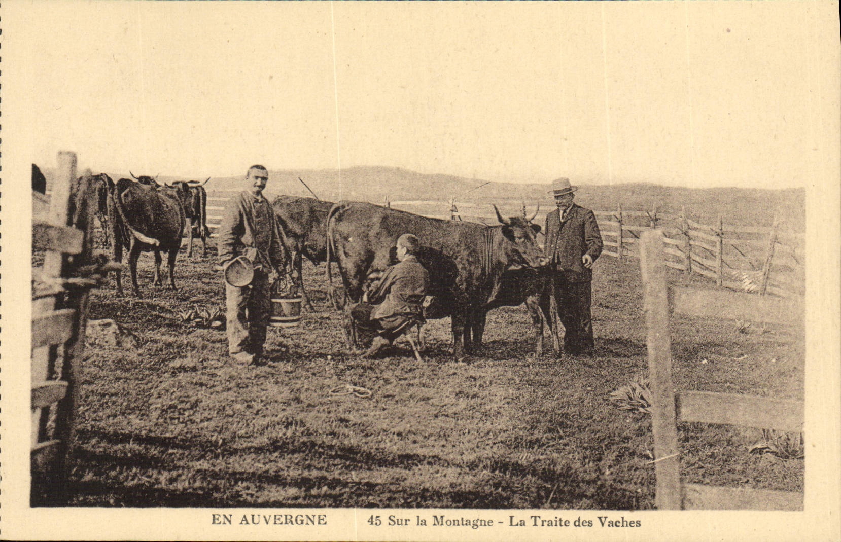 CPA Folklore En Auvergne Sur la montagne La traite des vaches