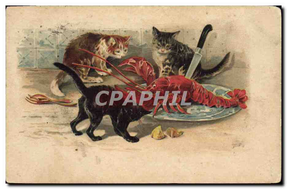 CPA Chat Chats Chaton Homard