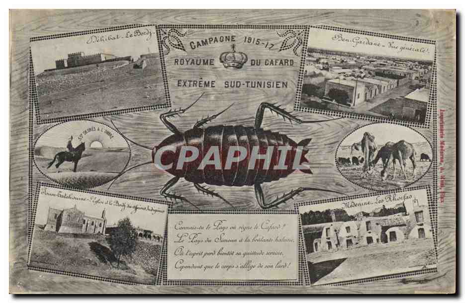 CPA Militaria Royaume du Cafard Extreme Sud Tunisien Tunisie 
