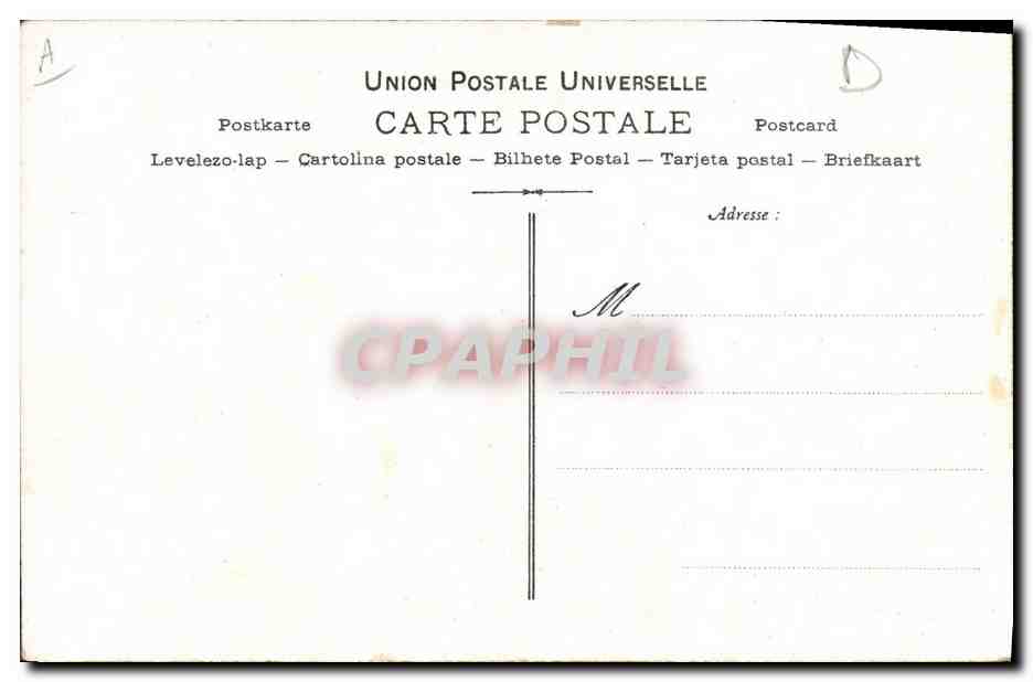 CPA Suzanne Munte  — Verso
