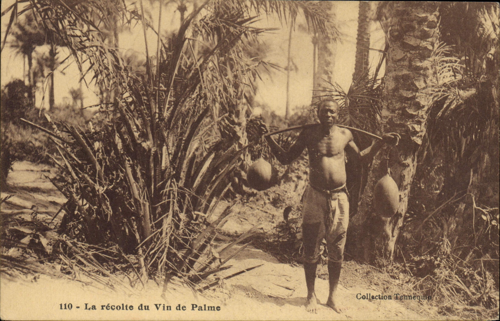 CPA Negre Homme noir La recolte du vin de palme 