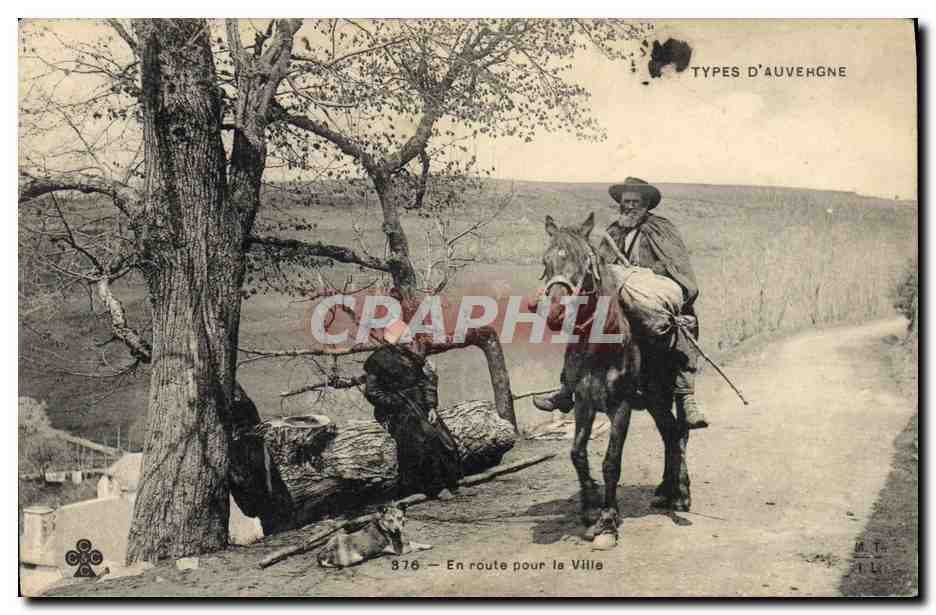 CPA Folklore Auvergne En route pour la ville 