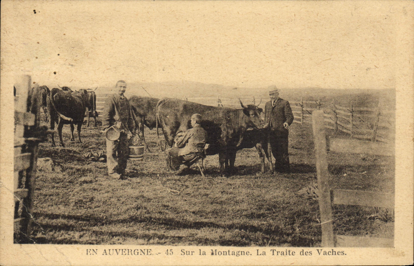 CPA Folklore Auvergne Sur la montagne La traite des vaches