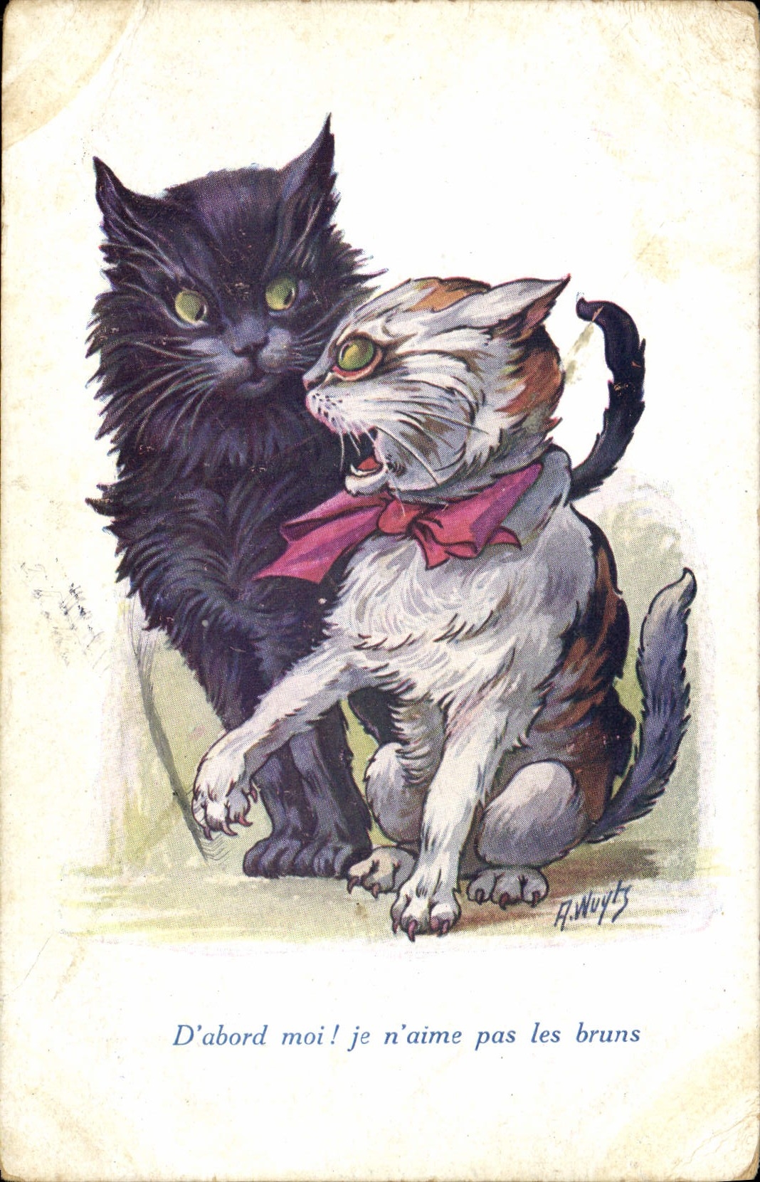 CPA Chat Chats Chaton D'abord moi ! je n'aime pas les bruns 